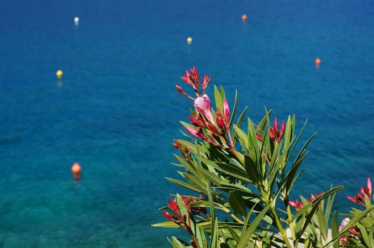 Apartment Layla - Intermezzo With Sea View In Center Of Rabac