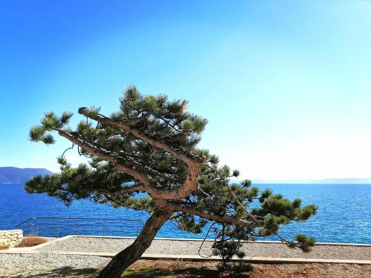 Apartment Layla - Intermezzo With Sea View In Center Of Rabac